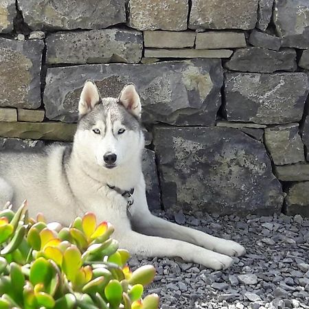 Cois Na Habhann Doolin Exteriér fotografie