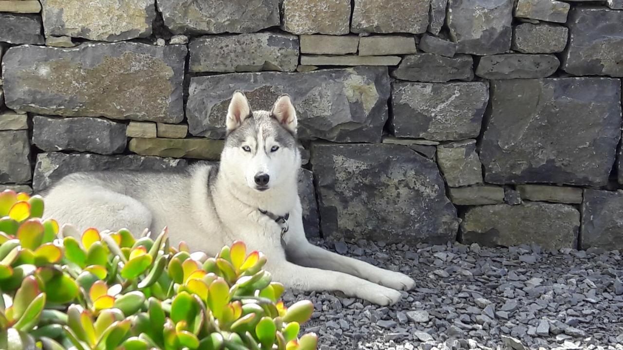 Cois Na Habhann Doolin Exteriér fotografie